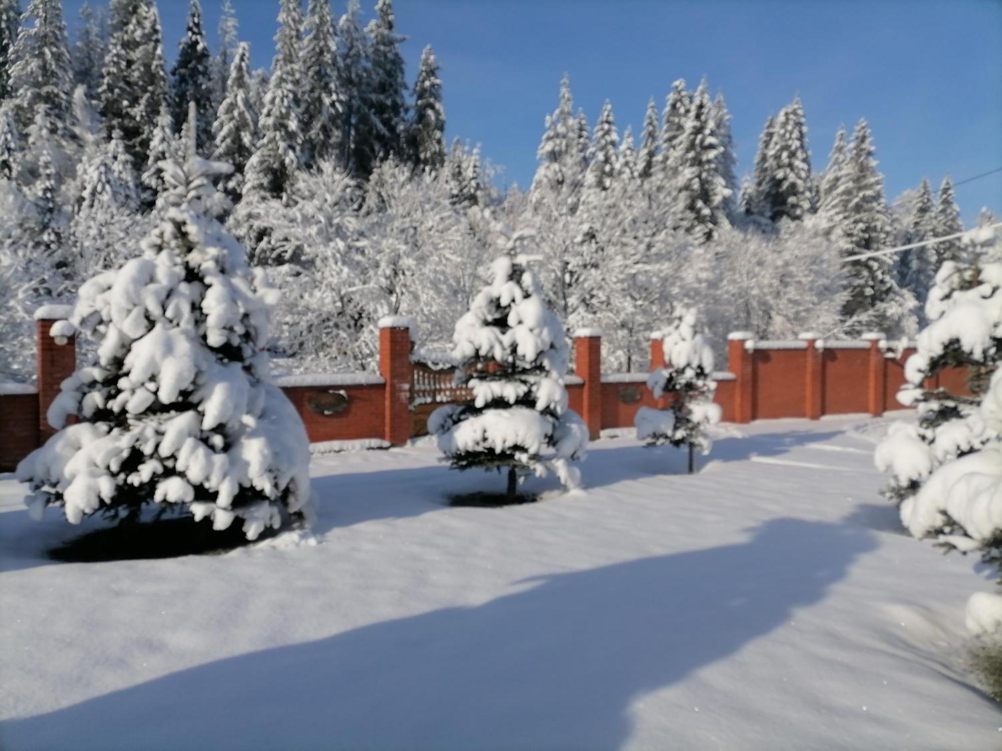 Vila Zolota Pidkova Slavske Exteriér fotografie
